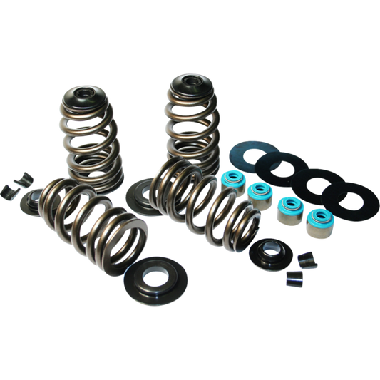 FUELING ECON BEEHIVE VALVE SPRING KIT HARLEY DAVIDSON MODELS - The Speed Shop Canada