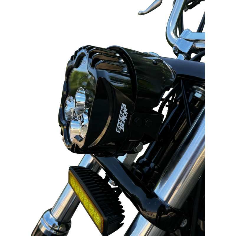 demodee ＬＯＷ　デモデ DEMODEE Carabiner | Demodee Official Online Store