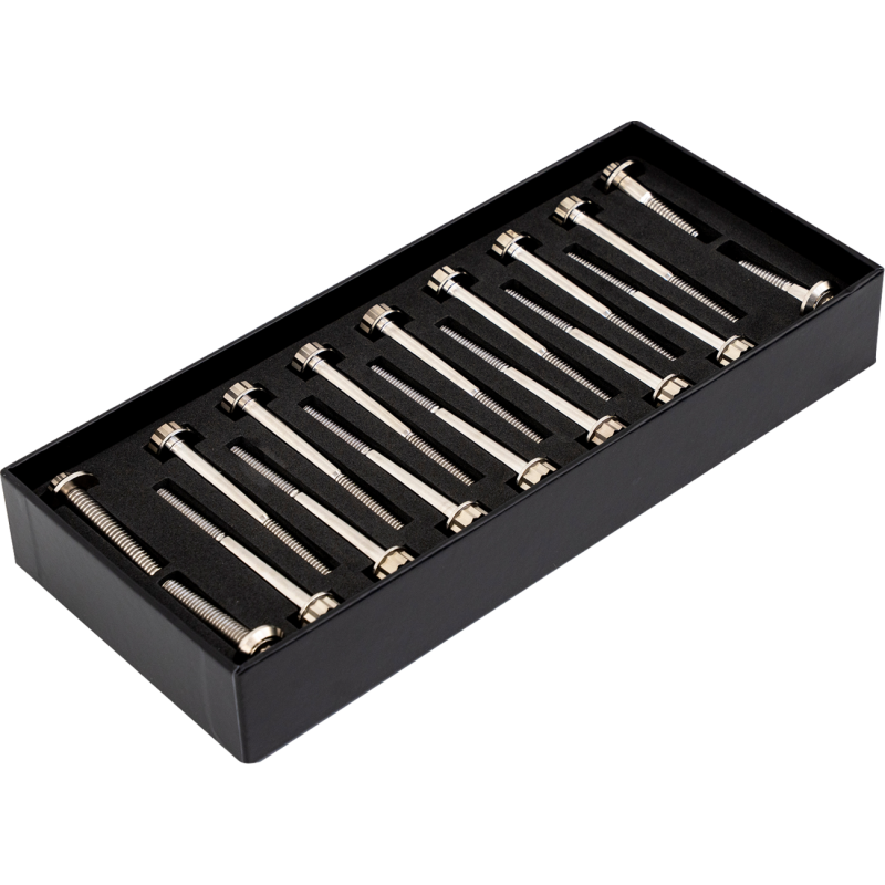 TRASK PERFORMANCE BITCHIN TITANIUM BOLT KITS HARLEY BAGGERS 17-25