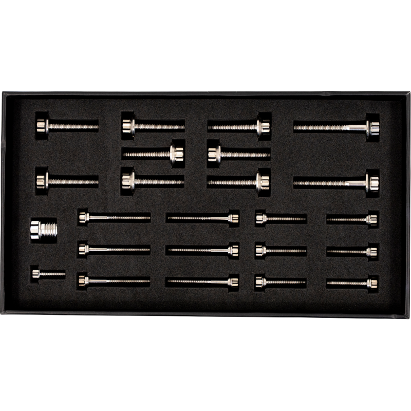 TRASK PERFORMANCE BITCHIN TITANIUM BOLT KITS HARLEY BAGGERS 17-25